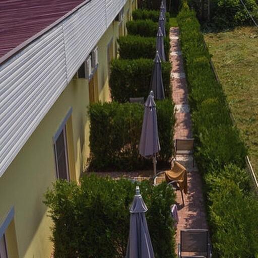 Casa Ana Hotel Вама Веке Екстериор снимка